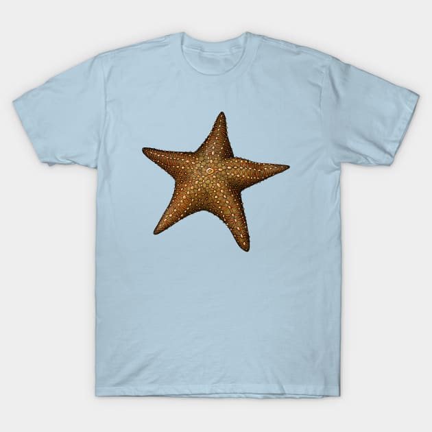Starfish T-Shirt by Akman